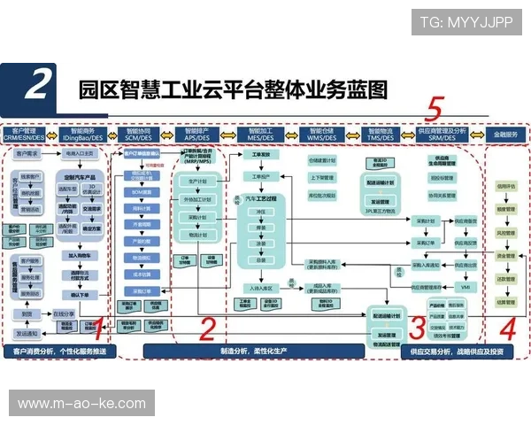 数字化平台正从单一工具方 迈向体育品牌传播体系的深度战略合伙人角色